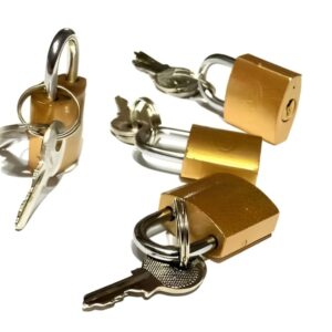 Iron padlock